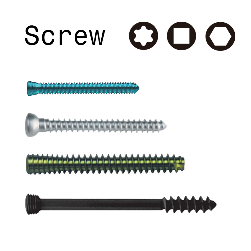 Bone Screw